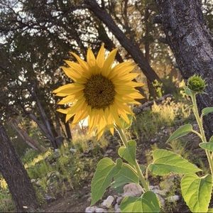 Meet your Posher, Ashlynne